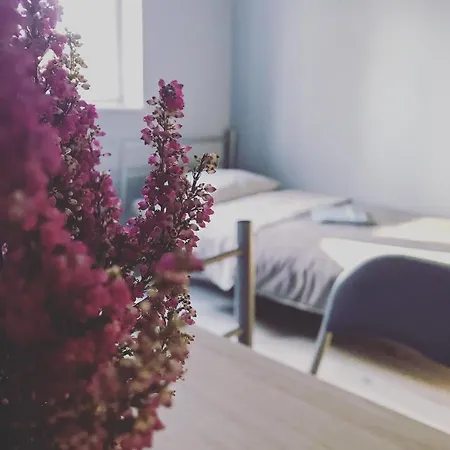 Lawendowy Hostel Wrocław-3